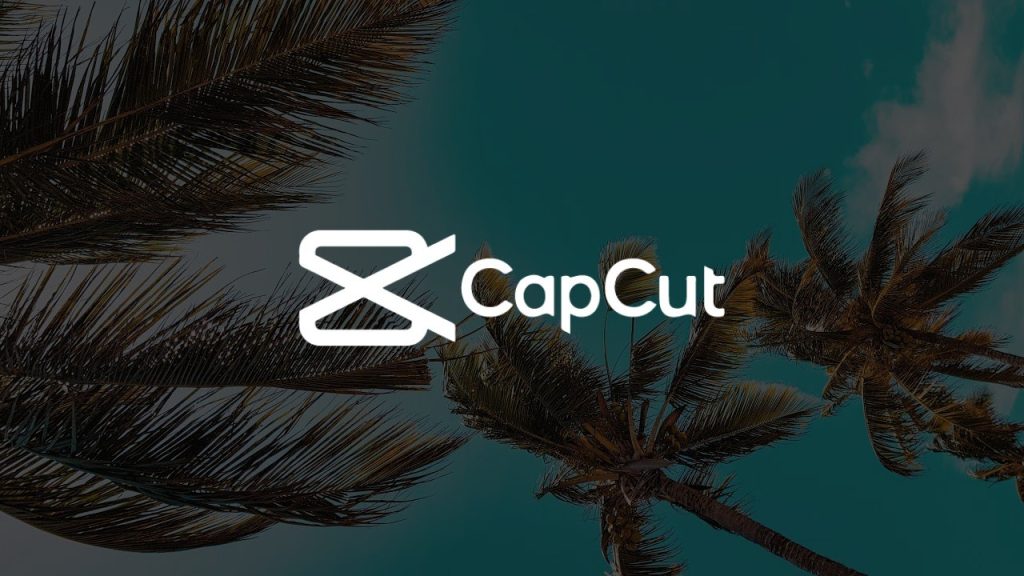 Delete CapCut Logo