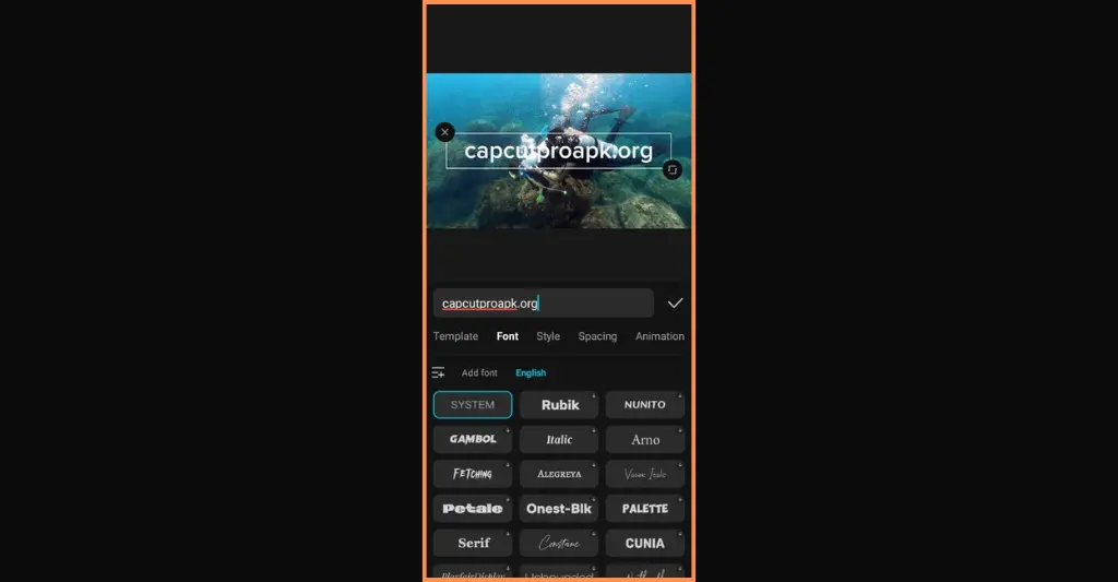 Choose style or fonts