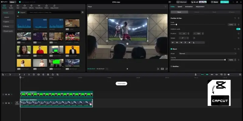 chroma key in Capcut function
