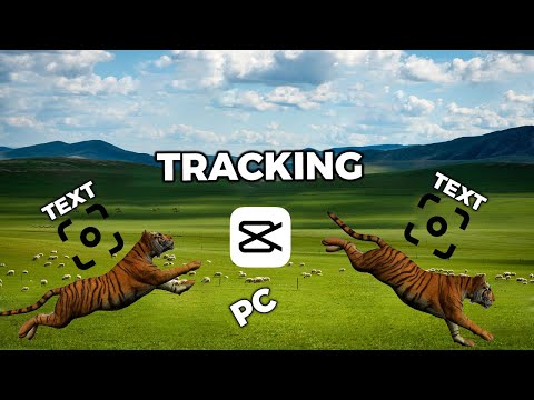 Make Move Text in CapCut Through Tracking