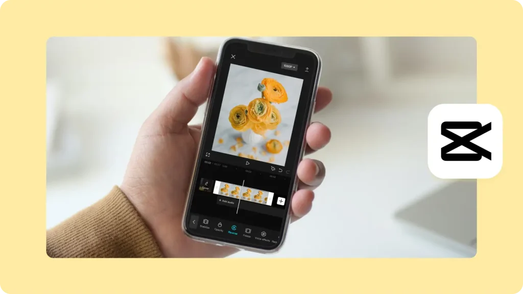 Reversing Videos iPhone