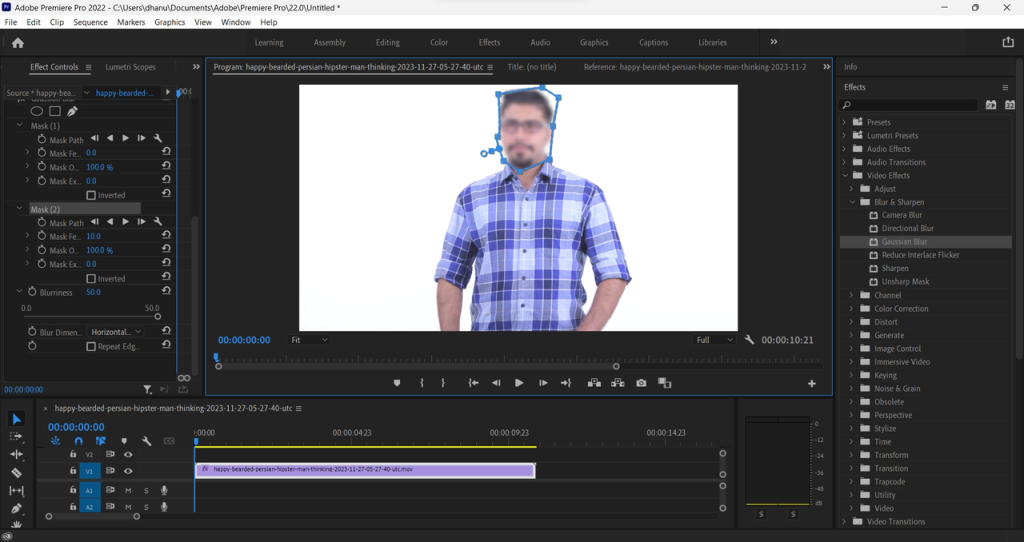 Adobe Premiere Pro (MacOS and Windows)
