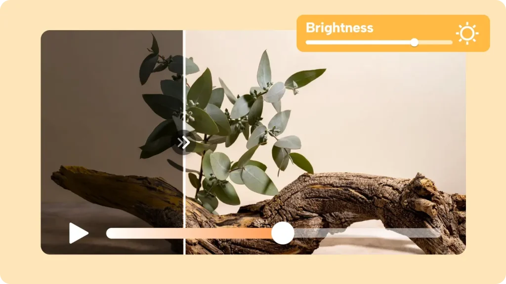 Best Video Brightness Editors